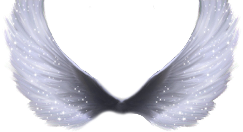 Wings Png Hd (1024x538), Png Download