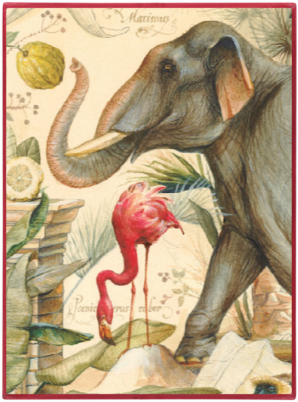 Wild Animals - Wallpaper (660x660), Png Download