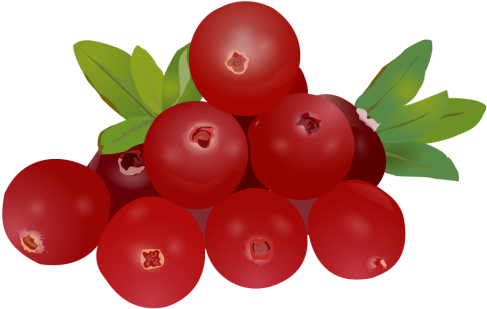 Fruit Drawing Clipart, Fruit Logo, Set Clipart, Exquisite - Fruits Drawing Hd (640x640), Png Download