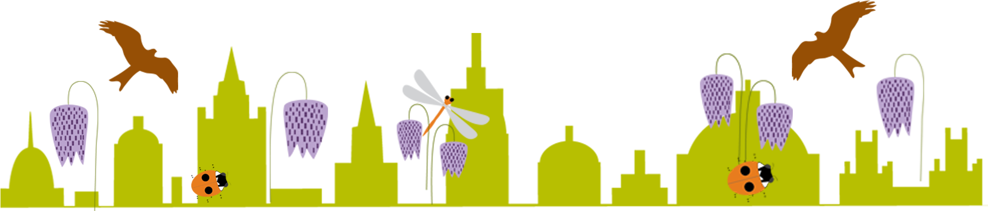 Oxford Festival Of Nature Graphics By By Rachel - Nature Graphic Design Png (2048x550), Png Download