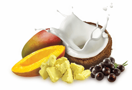 Coconut Milk Detangles And Conditions - Acai Berry Oil 100 Natural Cold Pressed. (423x288), Png Download