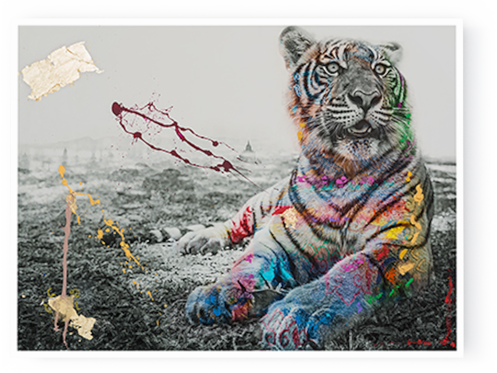 Photographs - I M Not A Trophy By Arno Elias (1000x751), Png Download