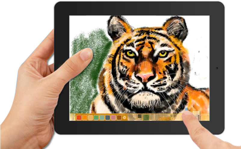 Video (800x514), Png Download