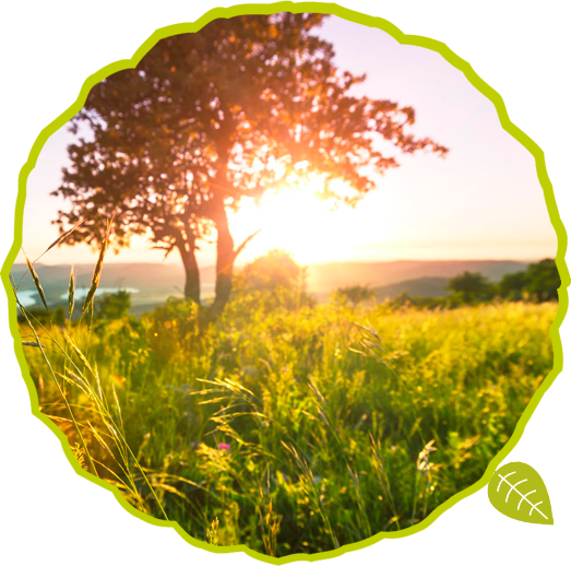 Respect For Nature (523x518), Png Download