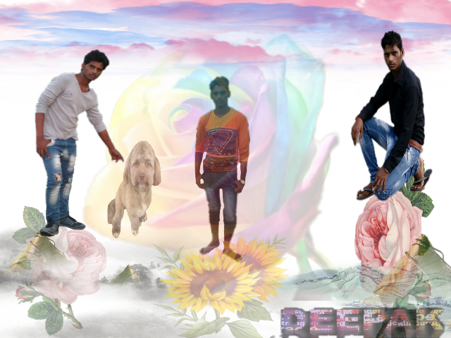 Rose Flower Beach Towel (640x480), Png Download