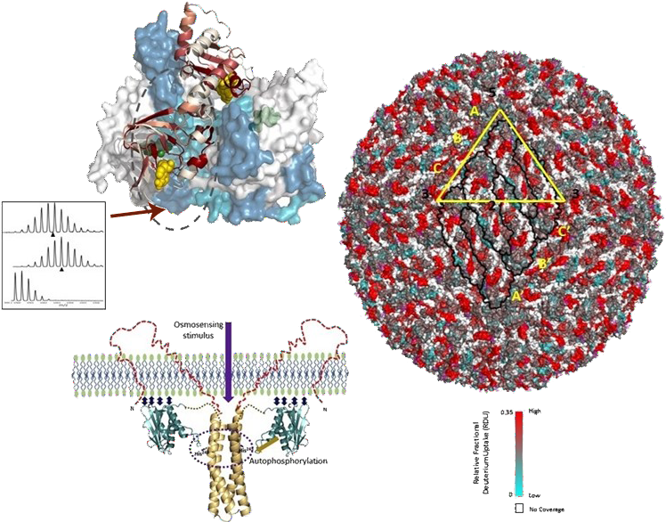 Mobirise (757x586), Png Download