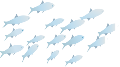 Fish Png - Portable Network Graphics (480x268), Png Download