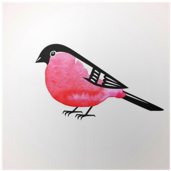 Watercolor Bullfinch On White Background - Eurasian Bullfinch (400x400), Png Download