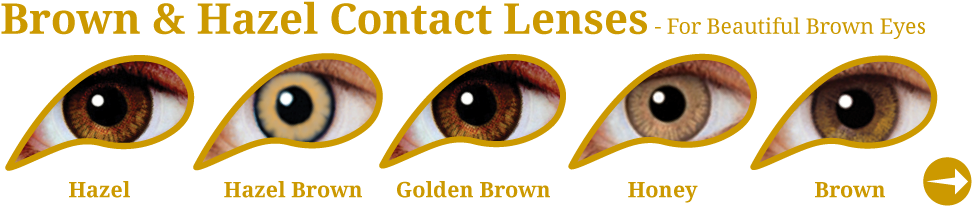 Collections For Colour Your Eyes-03 V=1369433820 - Mesmereyez 1 Month Honey Contact Lenses (1000x244), Png Download