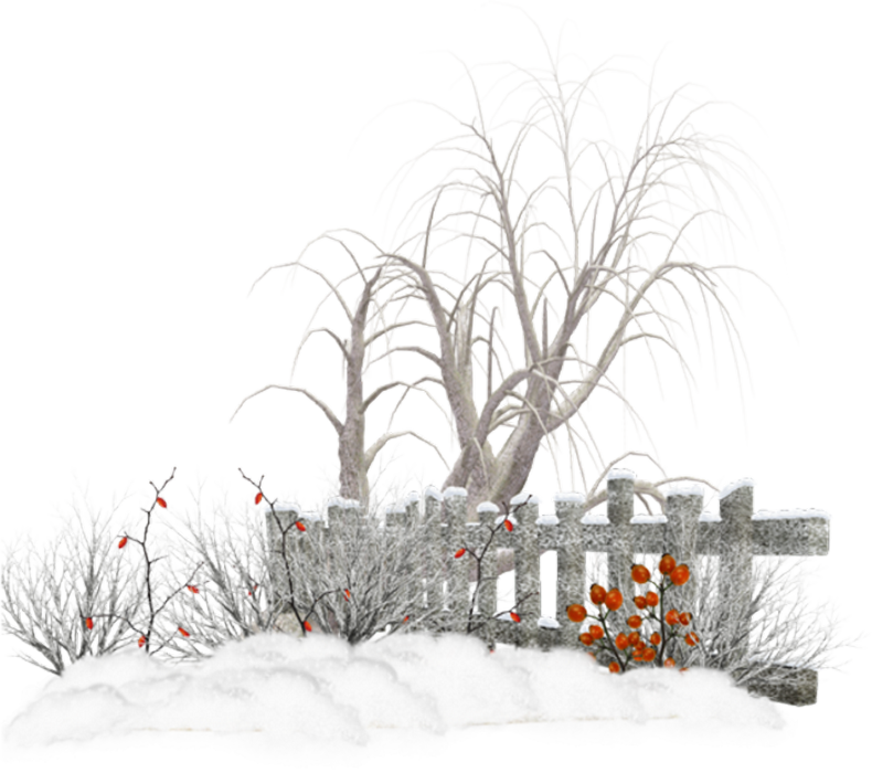 Snow (790x700), Png Download