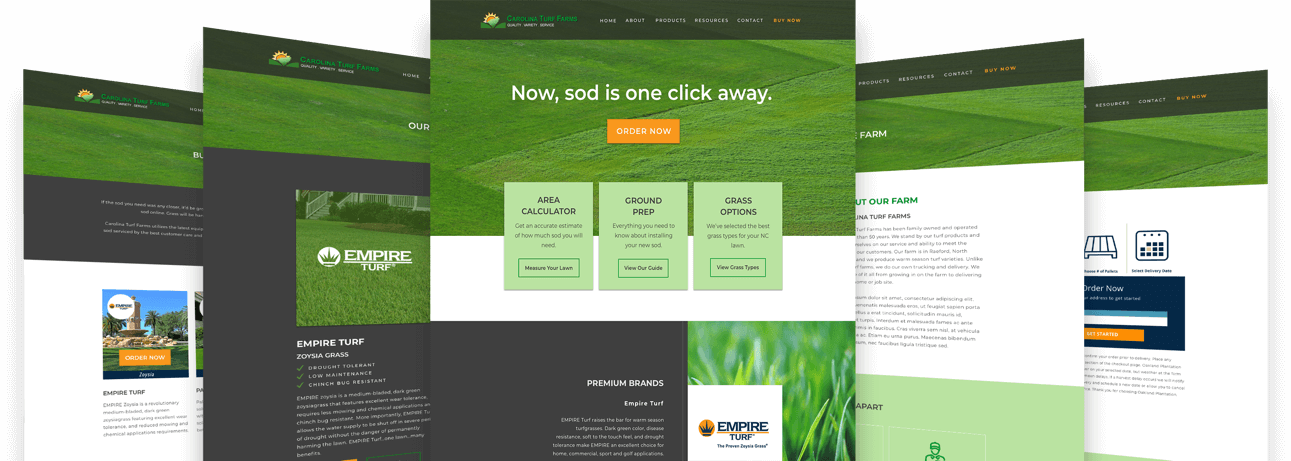 We Can Even Assist In The Development Of A Digital - Lawn (1291x461), Png Download