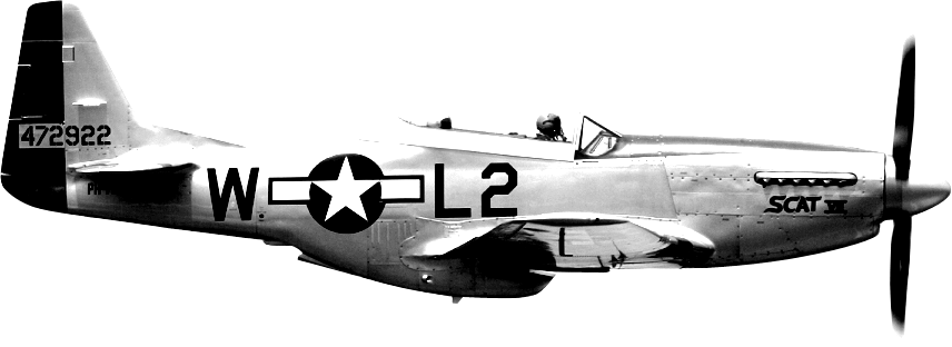 Be A Hero For A Day - P51 Mustang Transparent Background (856x312), Png Download