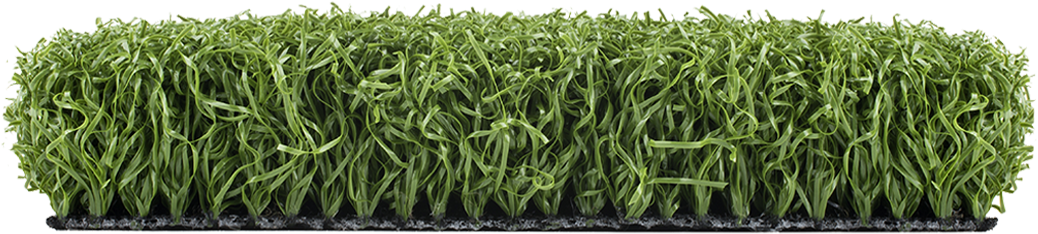 Sweet Grass (1170x260), Png Download