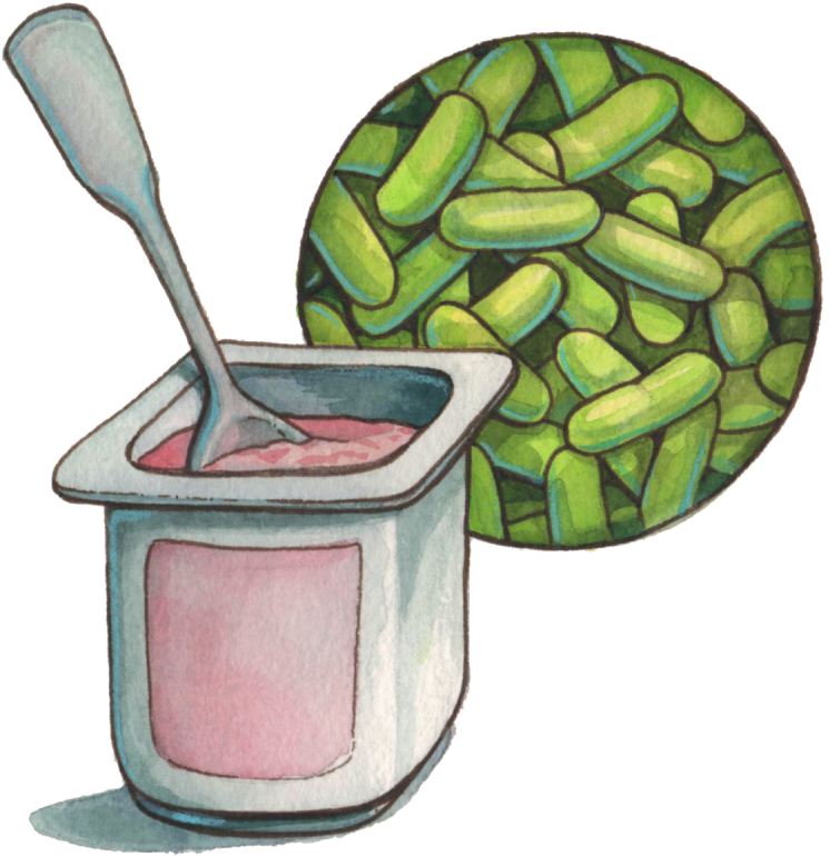 For Patients & Caregivers - Probiotics Png (800x800), Png Download