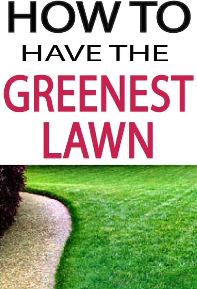 Tips To Have A Beautiful Green Lawn This Season - G Five (683x1024), Png Download