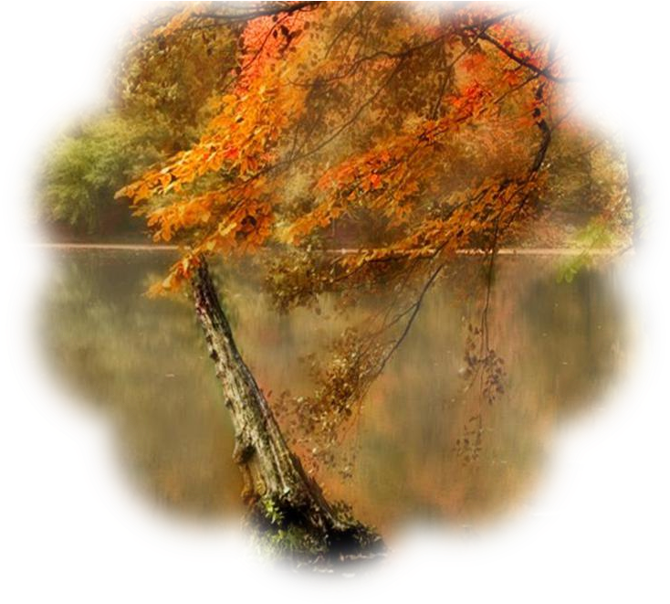 8 Trim Images - Wallpaper (763x675), Png Download