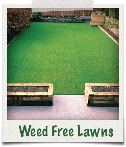 Our Garden Grass Lawns Are Weed Free And Low Maintenance - Garden (510x510), Png Download