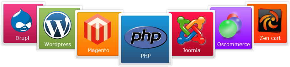 Related Wallpapers - Cms Web Development Services (980x287), Png Download