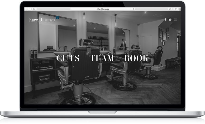 Harold James Hairdressers Guernsey Chameleon Website - Harold James (863x525), Png Download