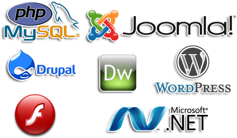 We At Website Development Believe That Website Development - Wordpress (480x350), Png Download