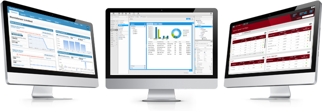 Bespoke Software Development - Application Desktop (667x239), Png Download