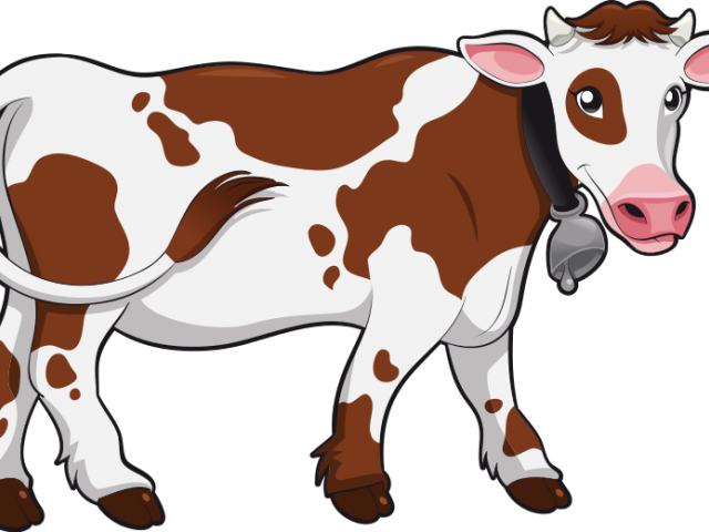 India Clipart Cow - Clip Art Of Cow (640x480), Png Download