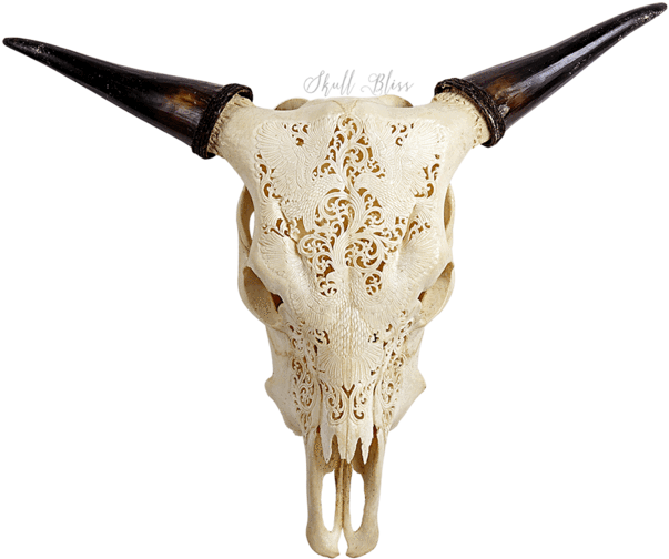 Carved Cow Skull - Cow Skull Indian Eagles (645x645), Png Download