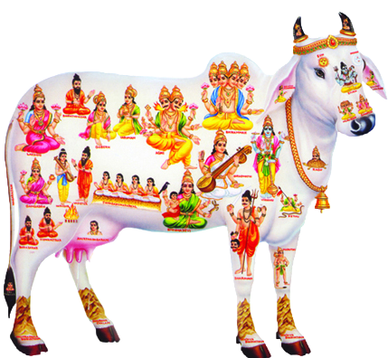 Indian Cow A Moving Temple - Kamadhenu (450x396), Png Download
