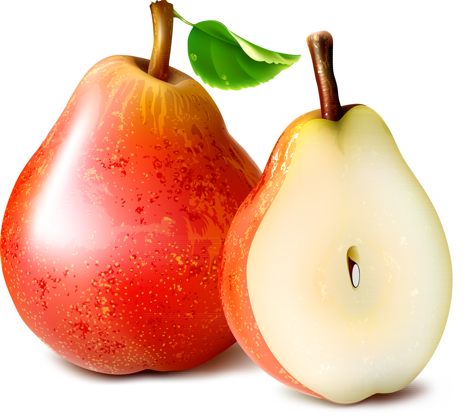 Фотки Food Clipart, Fruit Illustration, Clip Art Pictures, - Asian Pear (1600x1419), Png Download