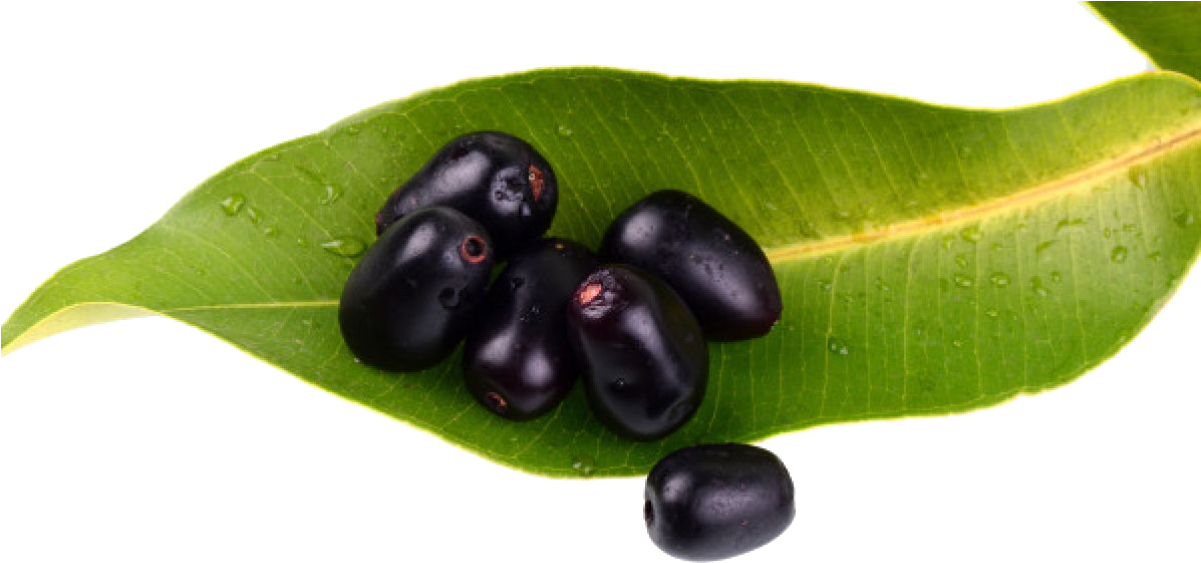 Thanks For Using It - Jamun Png (1200x630), Png Download