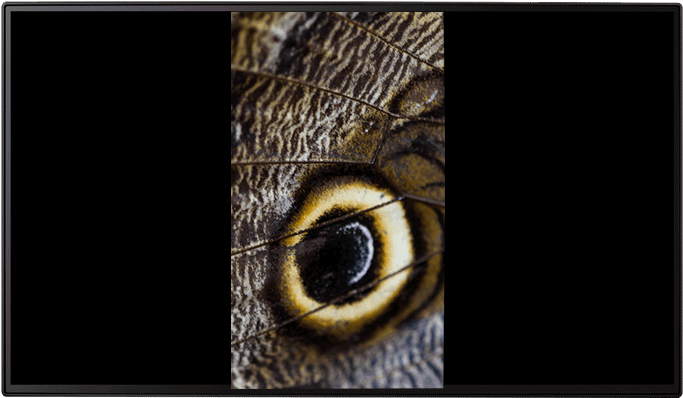 Imagery Has Been Simulated For Demonstration Purposes - Io Moth (1000x1000), Png Download