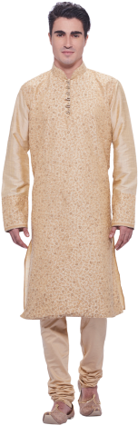 Fantastic Girl Women Woman Wedding Dress Indian Wear - Men Dress Indian Png (320x480), Png Download
