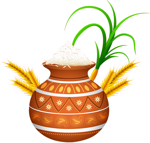 Pongal-celebration - Pongal Clipart Png (500x476), Png Download