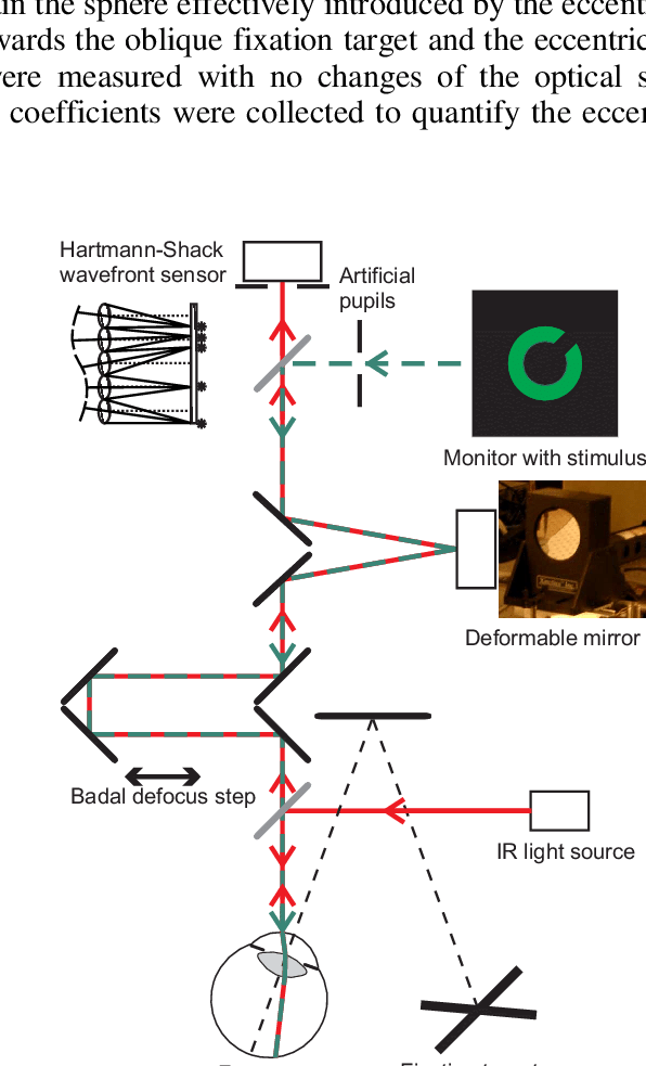 Main Components Of The Optical Setup - Mirror (596x983), Png Download