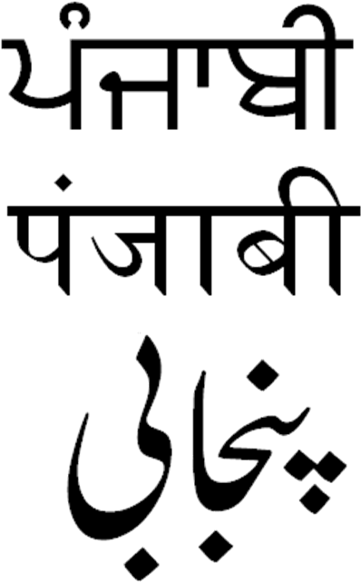 Punjabi Gurmukhi Shahmukhi Devanagari - Mian Muhammad Bakhsh Kalam Hd (473x674), Png Download