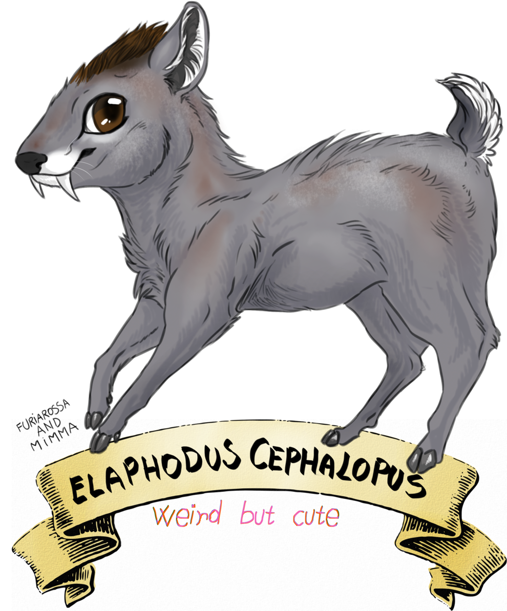 The First One Is The Adorable - Tufted Deer (1024x1195), Png Download