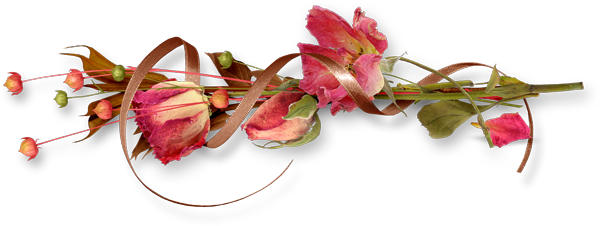 Gifs Y Fondos Pazenlatormenta - Artificial Flower (600x226), Png Download
