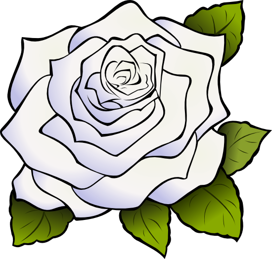 Free Rose Clipart, Animations And Vectors - White Rose Vector Png (550x524), Png Download