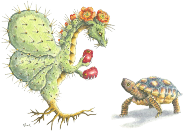 Prickly Pear Flower Dragon With Desert Tortoise - Flower Dragon (640x458), Png Download