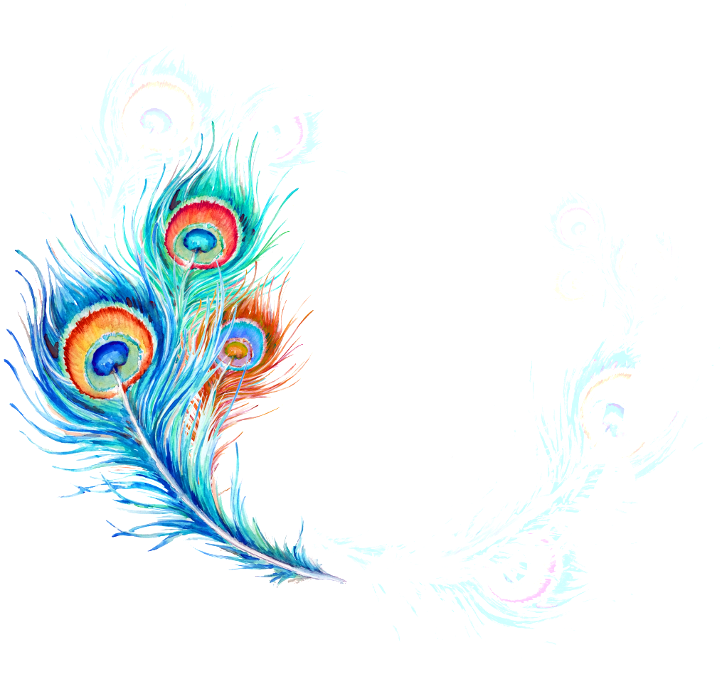 Beautiful Hand Painted Hd Peacock Feather Png - Peafowl (1024x1024), Png Download