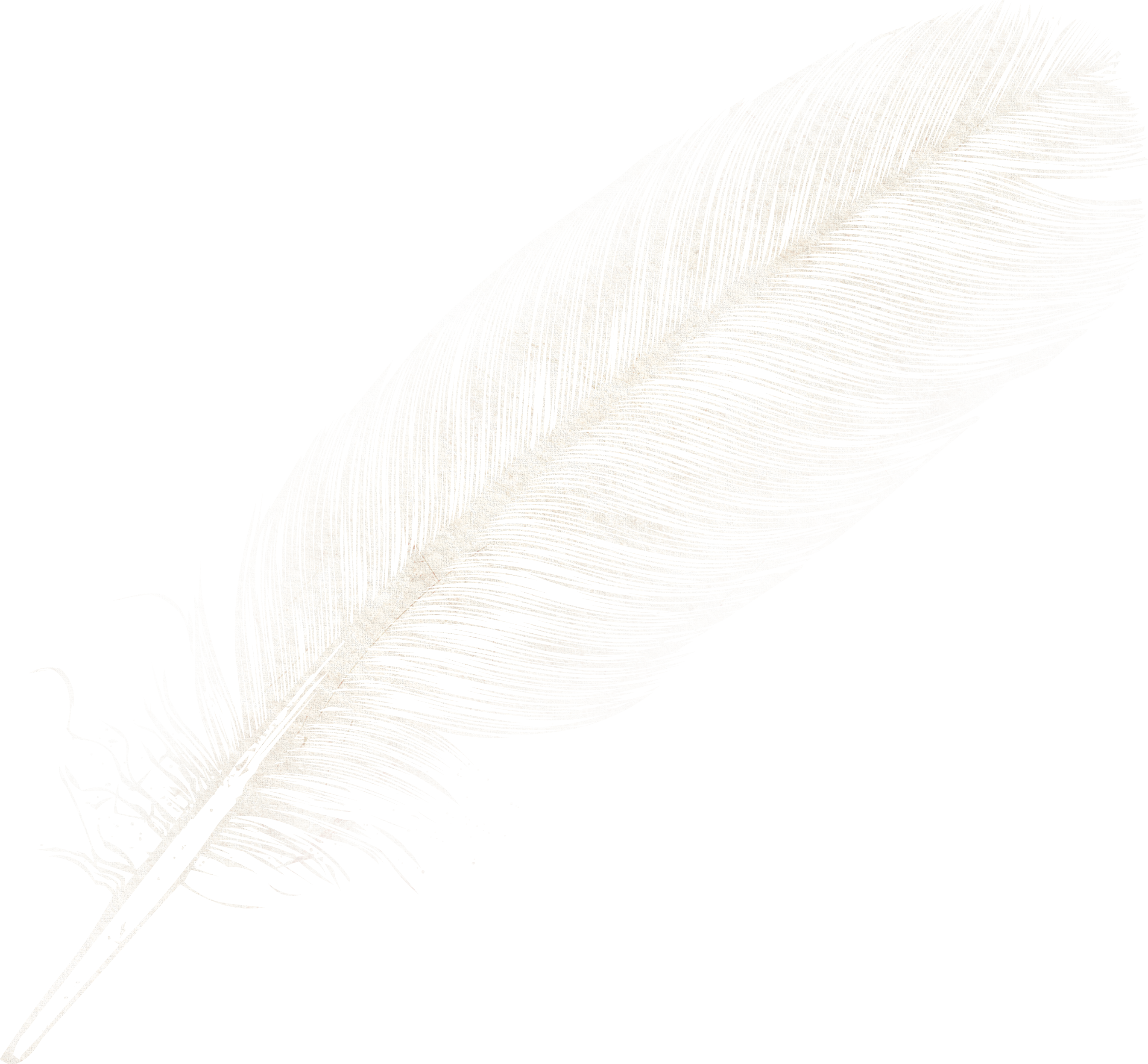 Download - Feather (2688x2490), Png Download