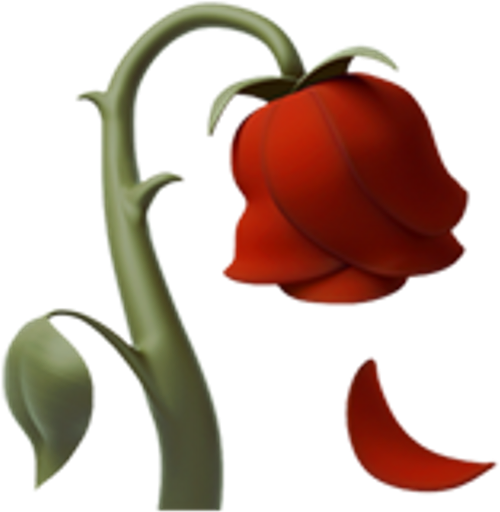 Wilting Flower Clipart (1024x1024), Png Download