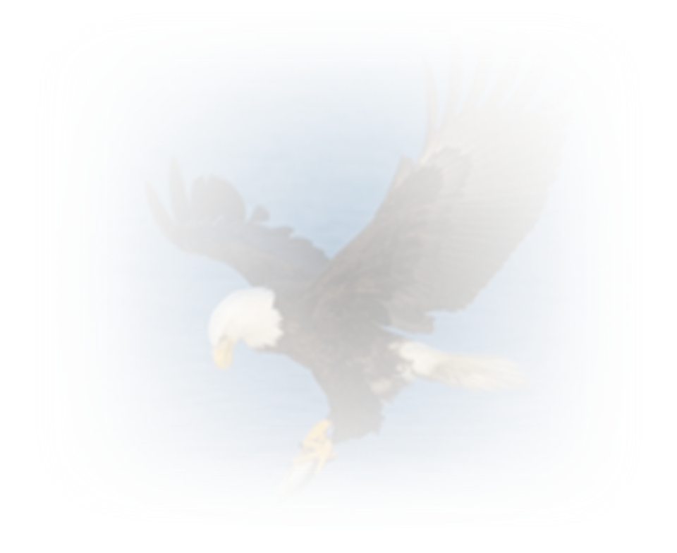 Friday, April 17, 2009 - Bald Eagle (960x784), Png Download