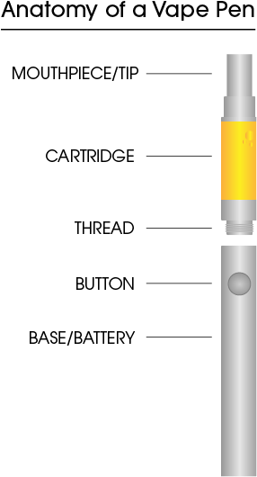 Vape Anatomy - Anatomy Of Vape Cartridge (400x550), Png Download