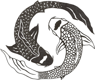 Jujibelle - Yin Yang Fish Png (500x500), Png Download