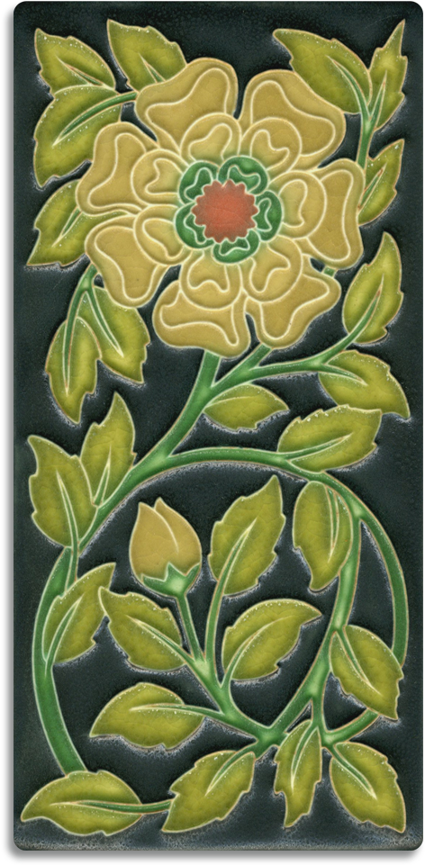 Tudor Rose, Gold Salmon - Tudor Rose (1000x1000), Png Download