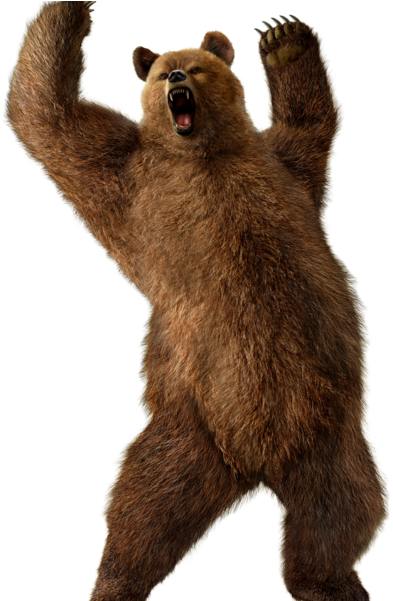 Share This Image - Grizzly Bear Transparent Background (420x600), Png Download