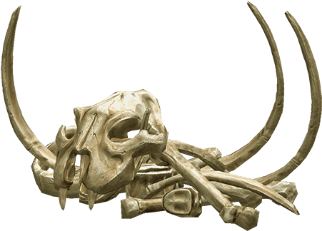 Bones Png Transparent - Bones Animals Png (1024x622), Png Download