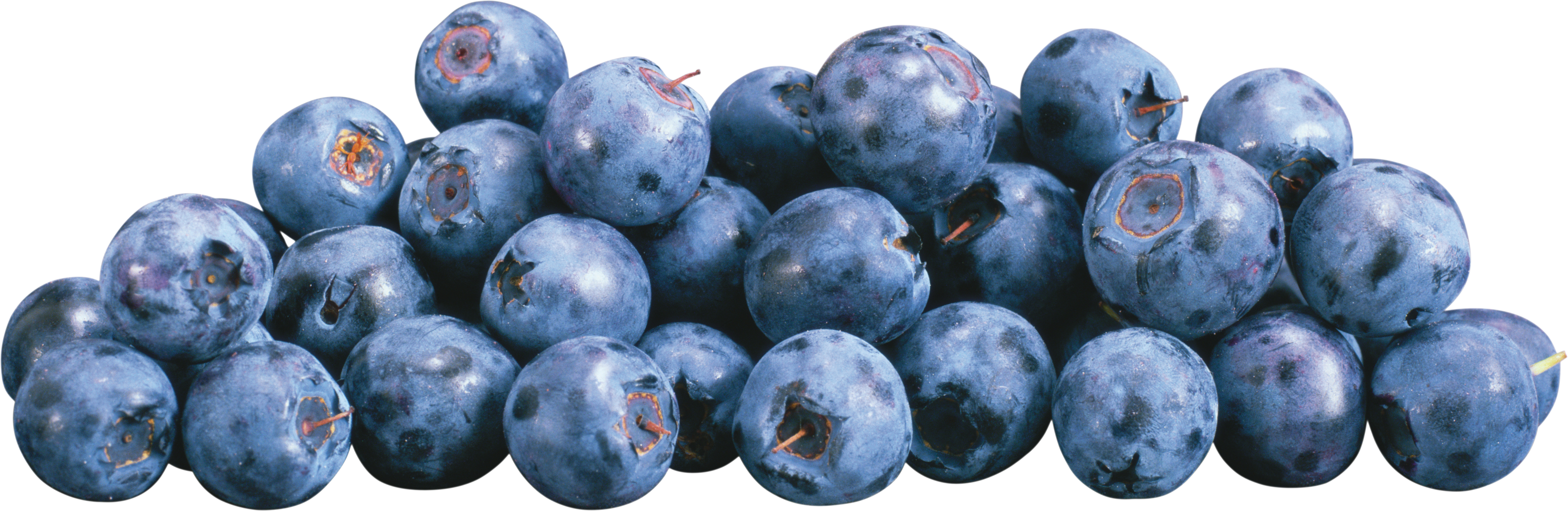 Blueberries In Png - Blueberries Png (5847x1904), Png Download