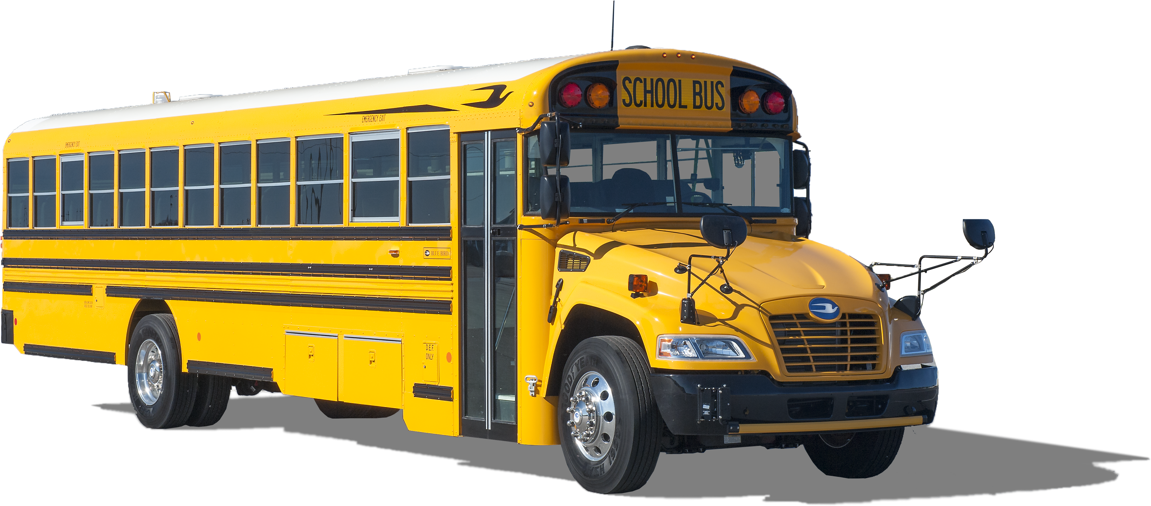 Blue Bird Vision (4069x1962), Png Download